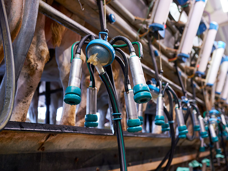 quadri elettrici per automazione azienda agricola